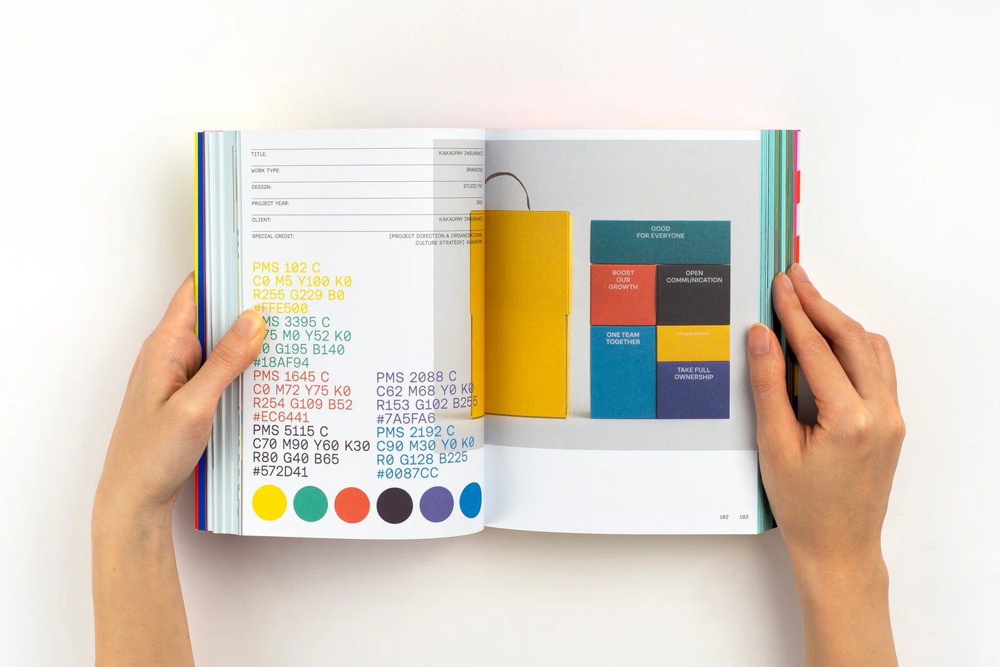 Palette Playbook Vol. 01: Radiant