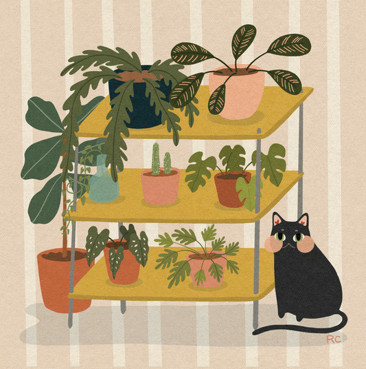 Plant Collecter Art Print | Rachele Cromer (OK)