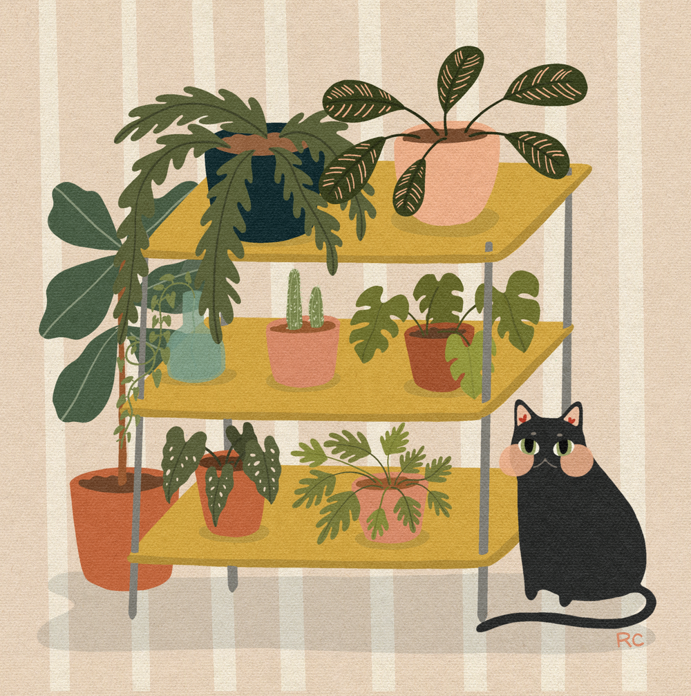 Plant Collector Art Print | Rachele Cromer (OK)