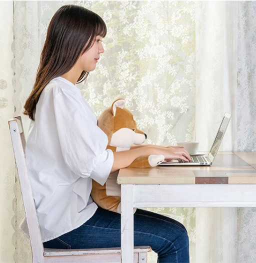 Cat Posture Pillow | Relax Work (Japan)