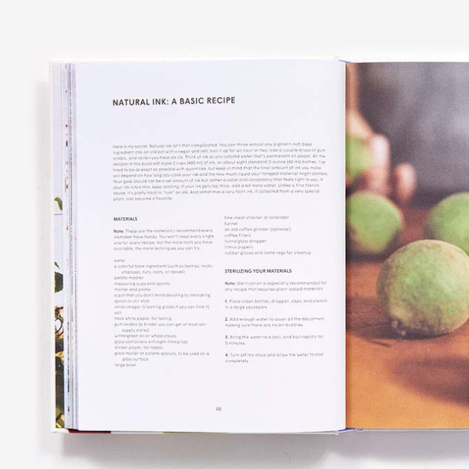 Make Ink: A Forager's Guide to Natural Inkmaking | Jason Logan (Abrams)