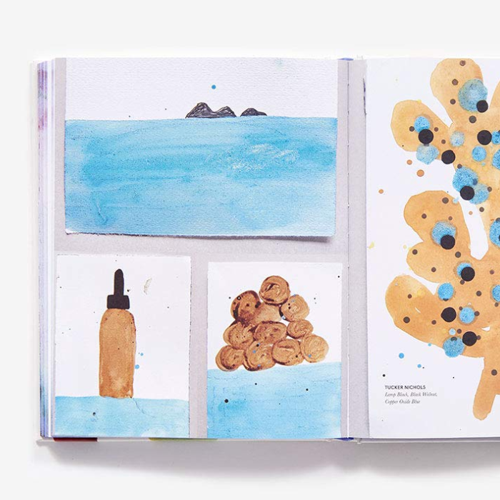 Make Ink: A Forager's Guide to Natural Inkmaking | Jason Logan (Abrams)