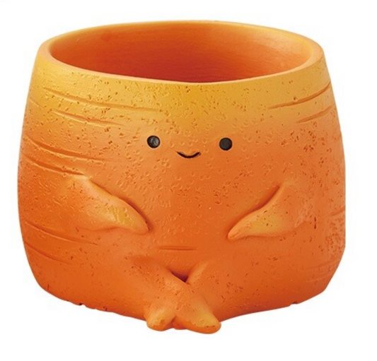 Carrot Mini Planter (Japan)
