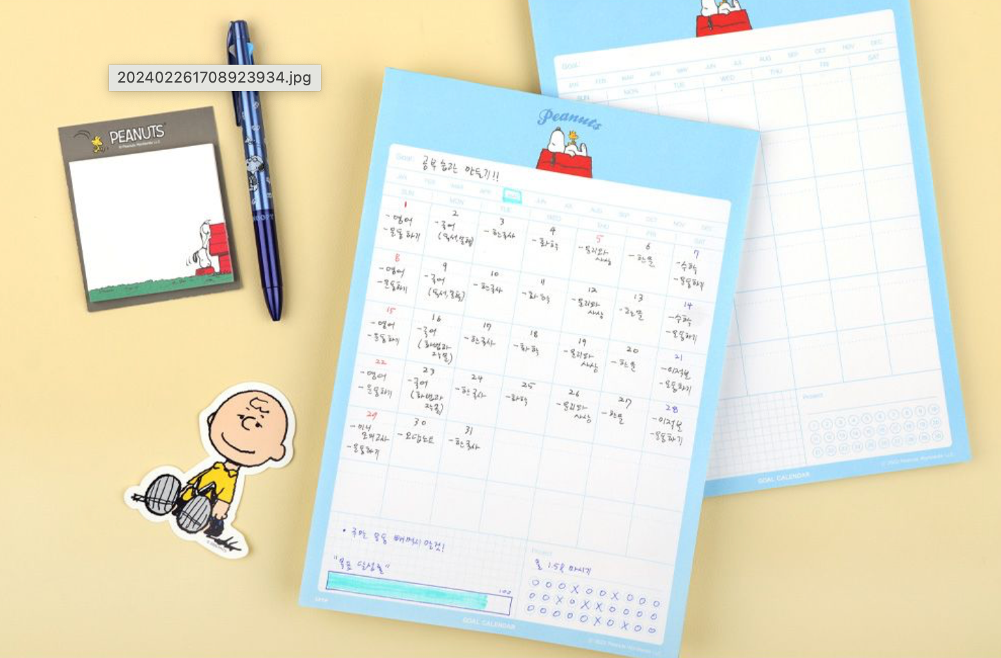 Snoopy Goal Calendar B5 Notepad | Peanuts (Korea) – WE ARE 1976