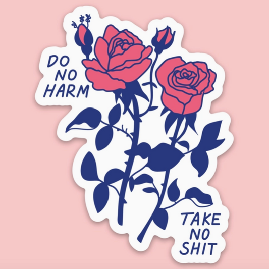 Take No Shit Vinyl Sticker | Tender Ghost (FL)