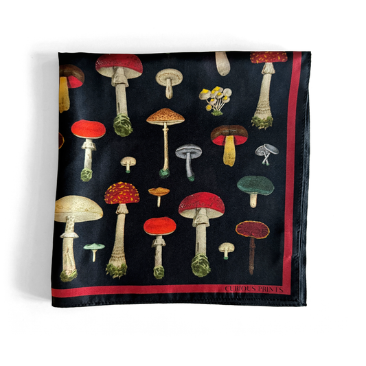Silk Black Mushroom Scarf | Curious Prints (TX)