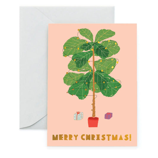Ficus Lyrata | Carolyn Suzuki (CA)