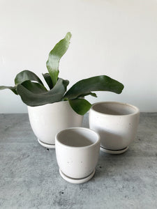 Extra Small Tabletop Planter | Little Fire Ceramics (WI)