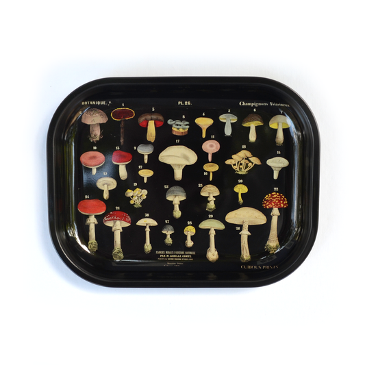 Black Mushroom Diagram Ritual Tray | Curious Prints (TX)