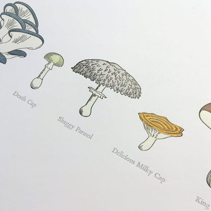A Few Mushrooms Letterpress Print | Susan Porteous (OR)
