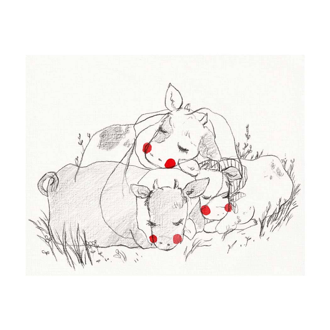 Sleeping Cows | Rebekah Evans (NC)