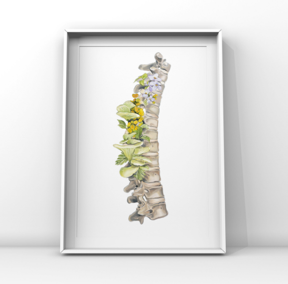Floral Thoracic Spine Anatomy Art Print | Trisha Thompson Adams (OK)