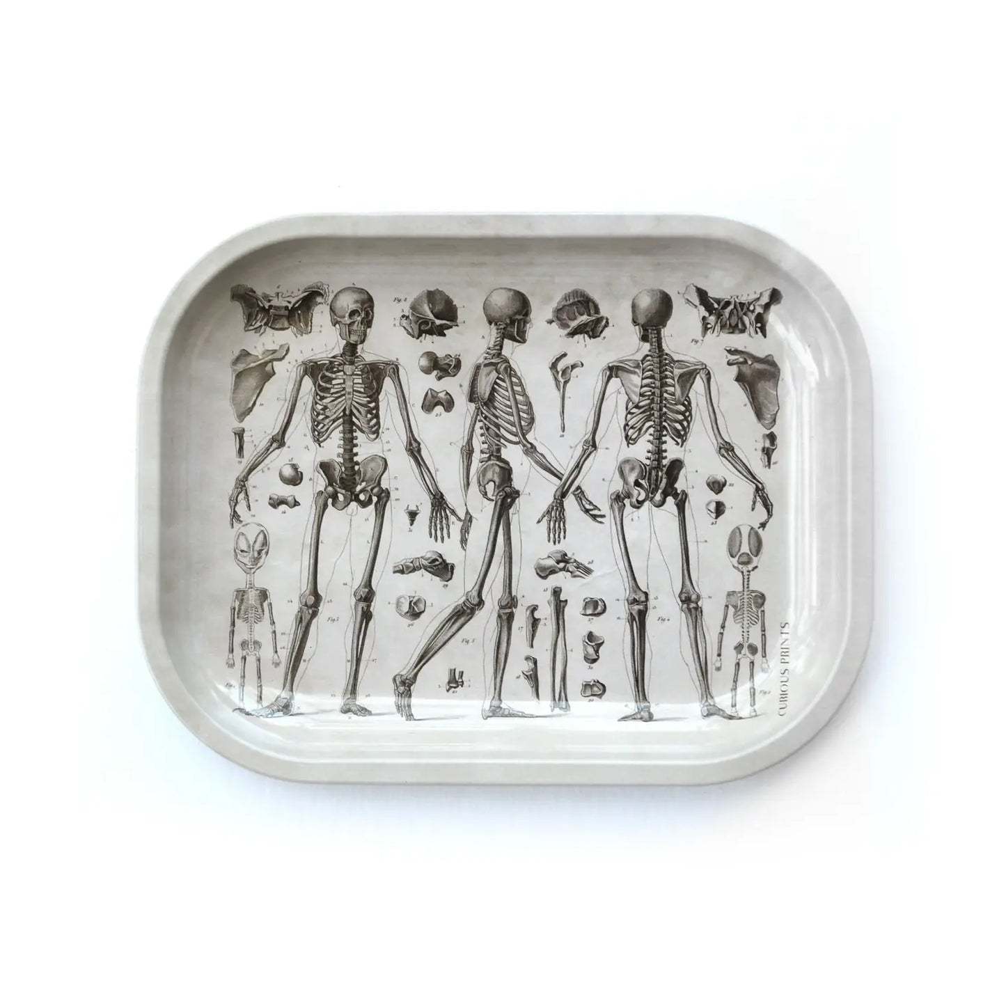 Skeleton Ritual Tray | Curious Prints (TX)