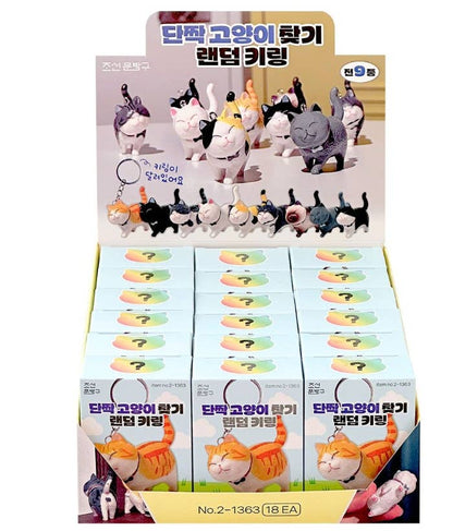 Best Friend Cat Figure Collectable Keyring Mystery Box  | K-Wonderland (Korea)