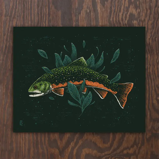 Brook Trout | Logan Schmitt (WV)