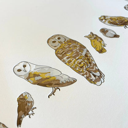 A Few Owls Letterpress Print | Susan Porteous (OR)