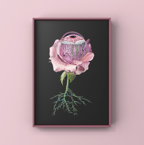 Floral Eye Anatomy Art Print | Trisha Thompson Adams (OK)