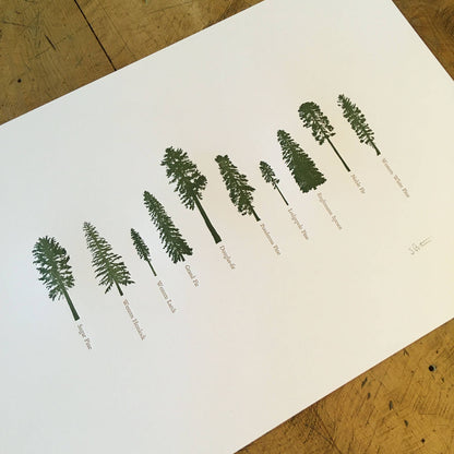 A Few Conifers Letterpress Print | Susan Porteous (OR)