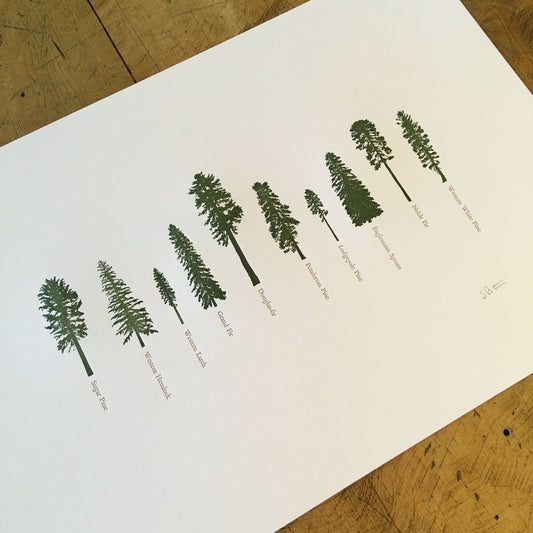 A Few Conifers Letterpress Print | Susan Porteous (OR)