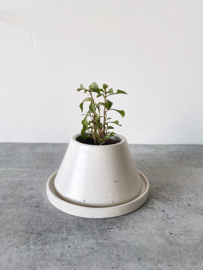 Anthony Planter | Little Fire Ceramics (WI)