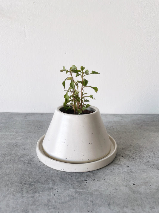 Anthony Planter | Little Fire Ceramics (WI)
