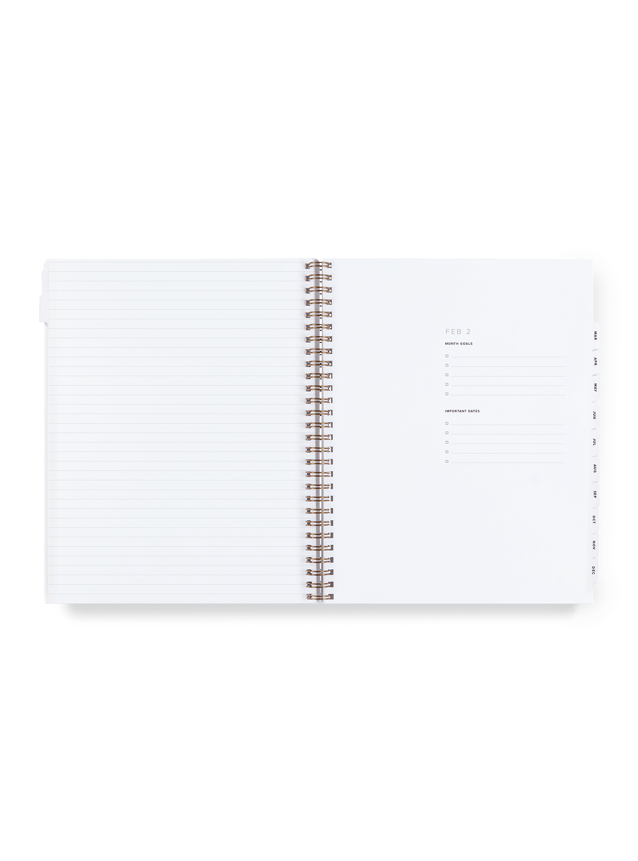 2025 Year Task Planner | Appointed (DC)