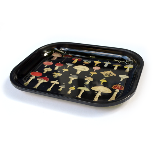 Black Mushroom Diagram Ritual Tray | Curious Prints (TX)