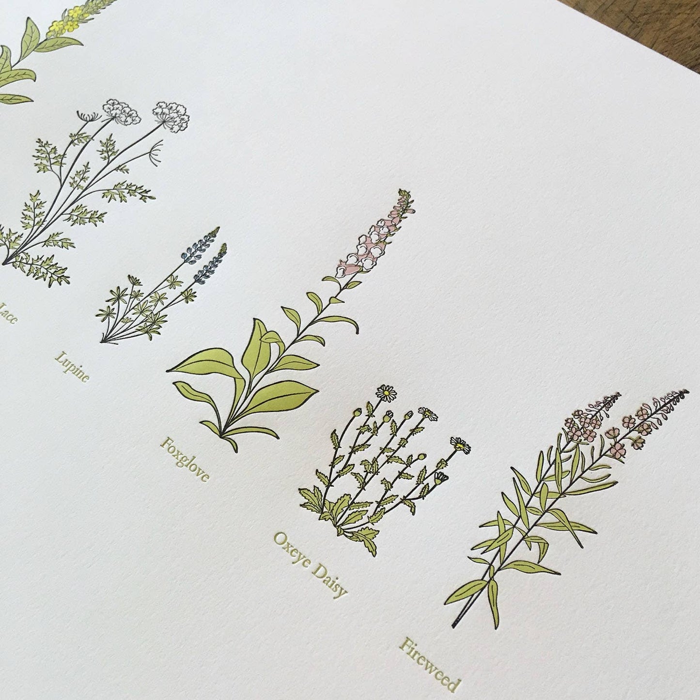 A Few Wildflowers Letterpress Print | Susan Porteous (OR)