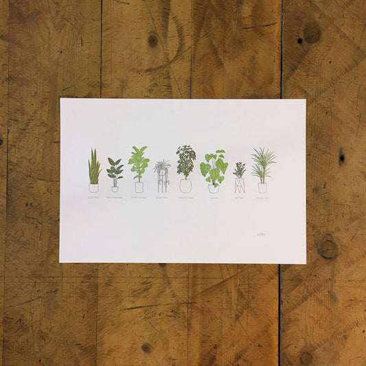 A Few Houseplants Letterpress Print | Susan Porteous (OR)