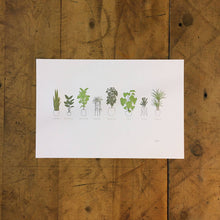 Load image into Gallery viewer, A Few Houseplants Letterpress Print | Susan Porteous (OR)

