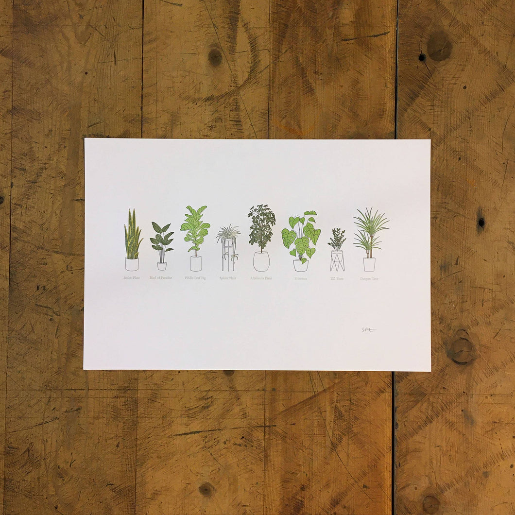 A Few Houseplants Letterpress Print | Susan Porteous (OR)