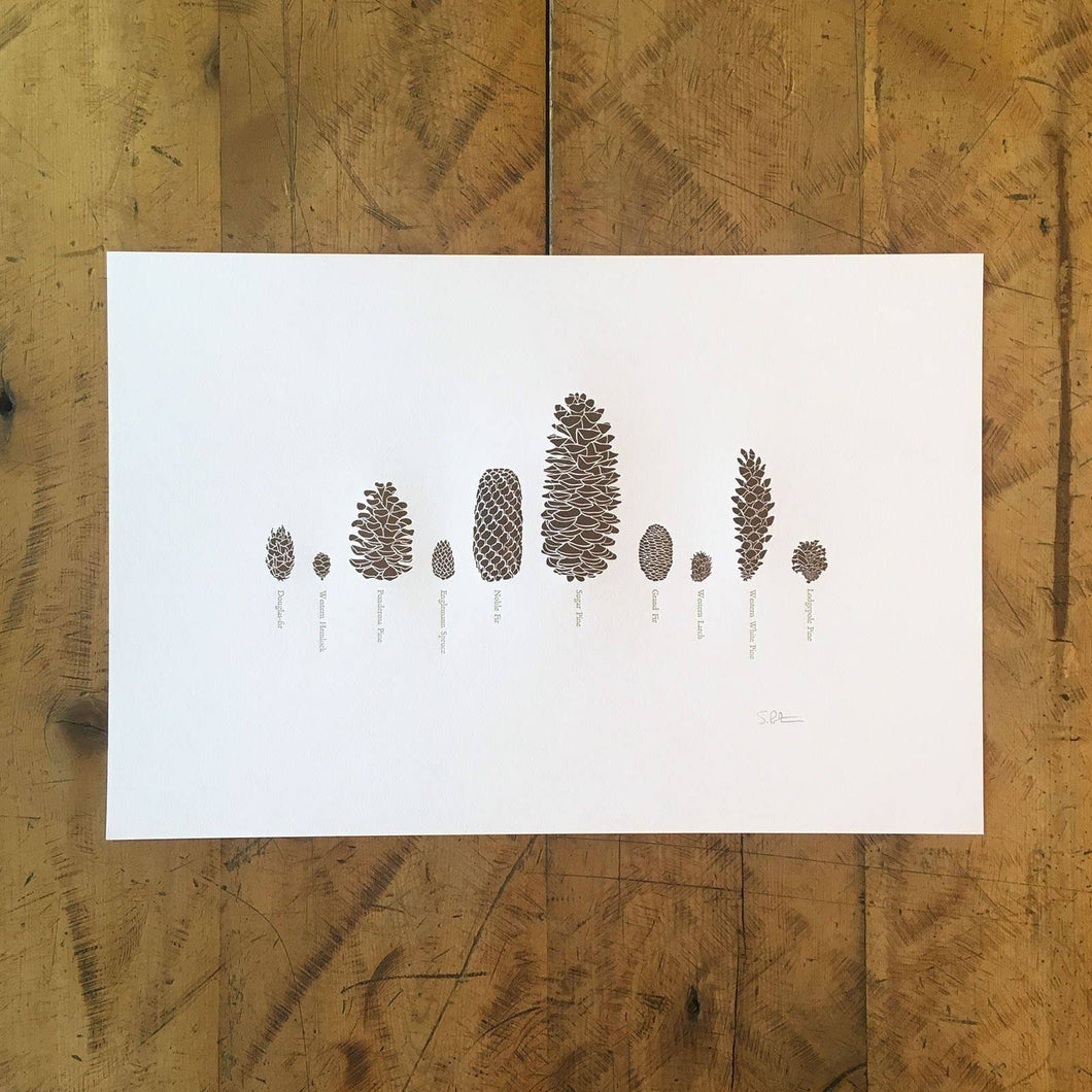 A Few Pine Cones Letterpress Print | Susan Porteous (OR)