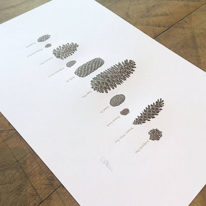 A Few Pine Cones Letterpress Print | Susan Porteous (OR)