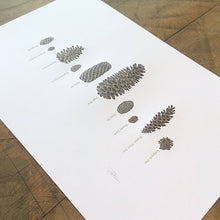 Load image into Gallery viewer, A Few Pine Cones Letterpress Print | Susan Porteous (OR)
