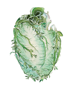 Vine Heart Anatomy Art Print | Trisha Thompson Adams (OK)
