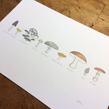 A Few Mushrooms Letterpress Print | Susan Porteous (OR)