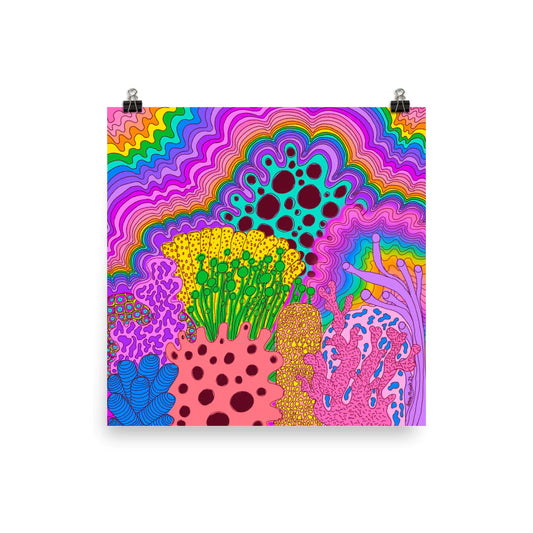 Cloudland Coral Reef | Amina Mucciolo (CA)