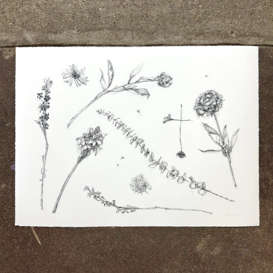 Flower Drawing #6 giclée art print by Esther Chow, photographed in store