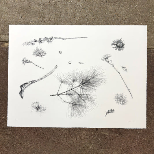 Flower Drawing #8 giclée art print by Esther Chow, photographed in store