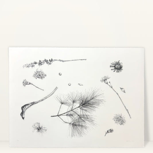 Flower Drawing #8 giclée art print by Esther Chow, studio photo