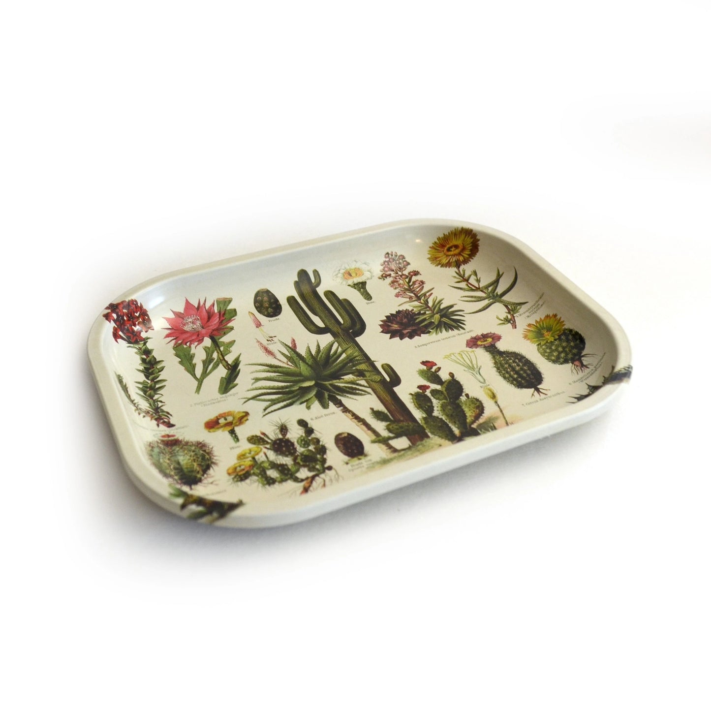 Cactus Ritual Tray | Curious Prints (TX)