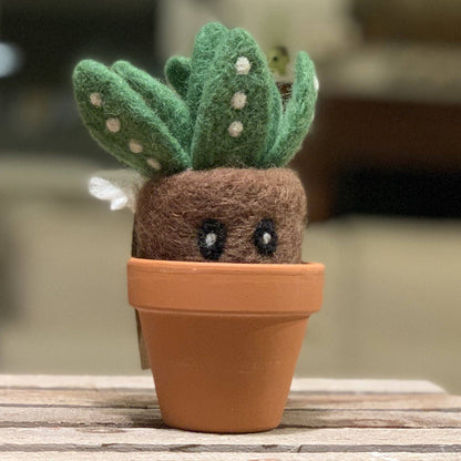 Handmade Wool Needle Felted Sprout Plant | Woolbuddy (CA)