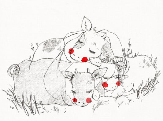 Sleeping Cows | Rebekah Evans (NC)