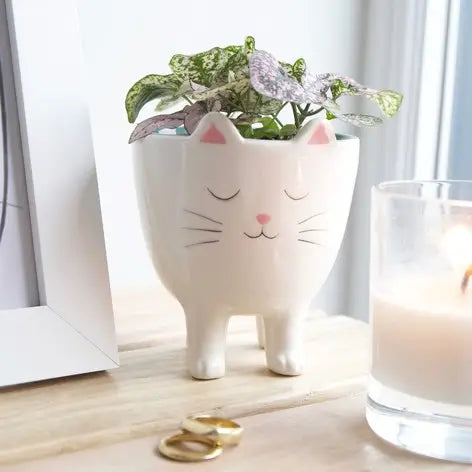 White Cat Planter | SparkDazzle (CA)