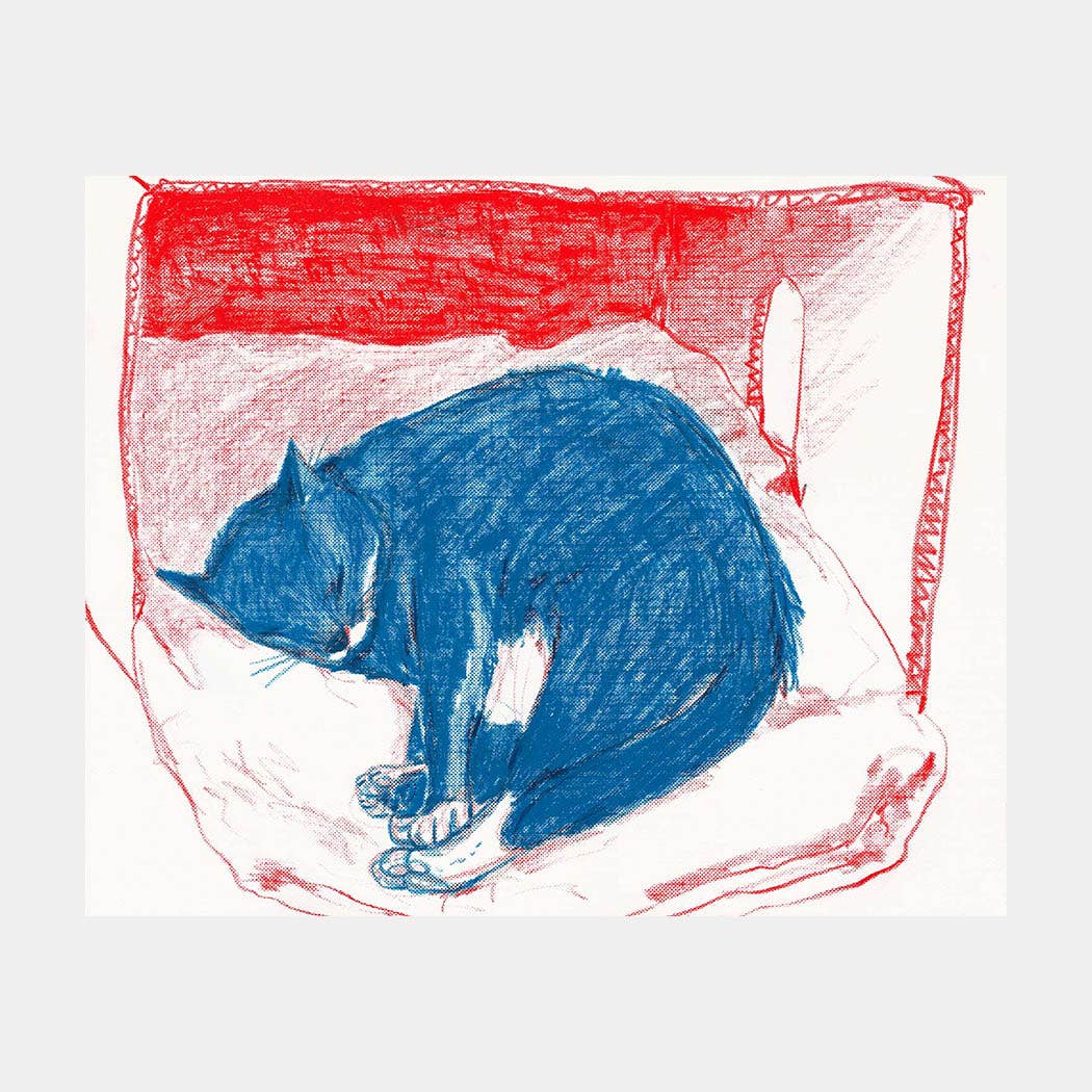 Pepper in His Box Art Print | Rebekah Evans (NC)