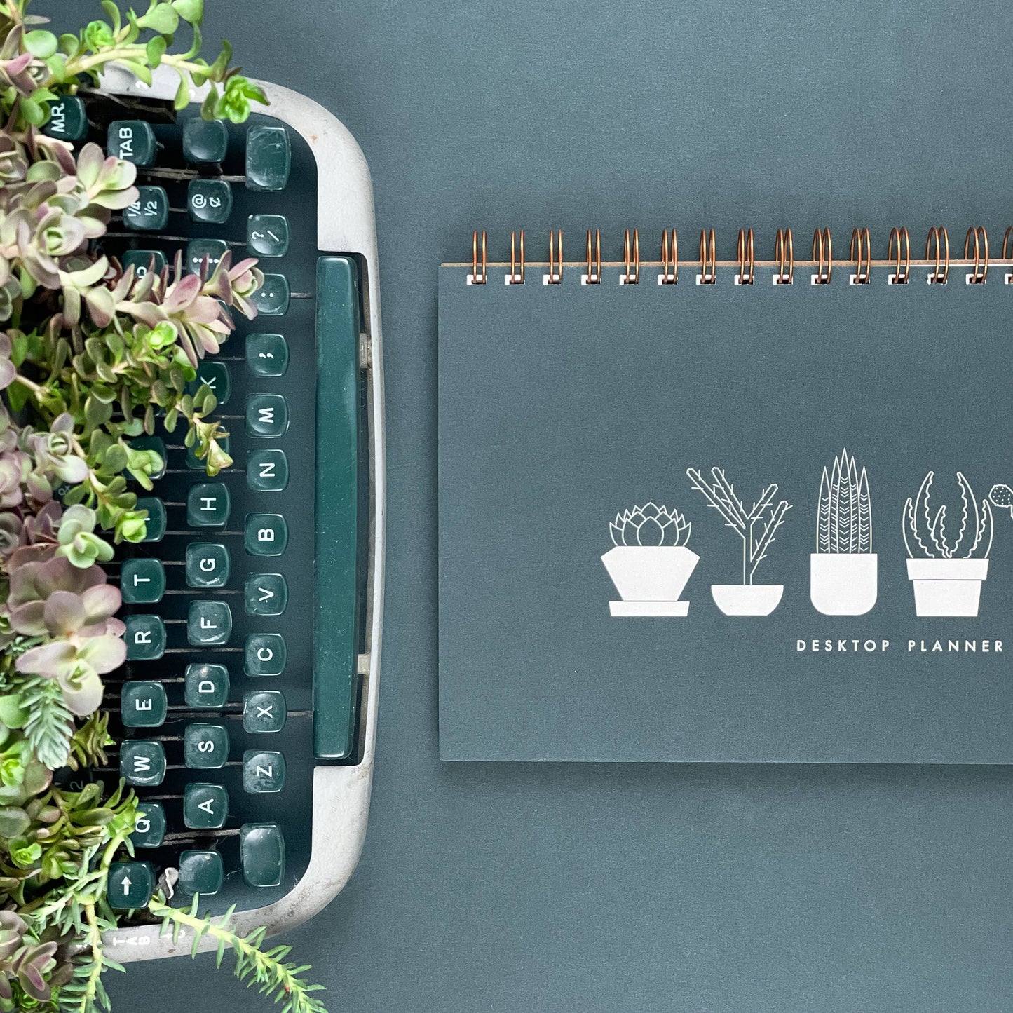 Succulent Undated Weekly Planner | Ruff House Print Shop (KS)