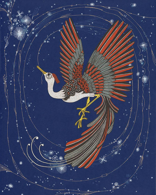 Firebird | Daria Tessler (OR)