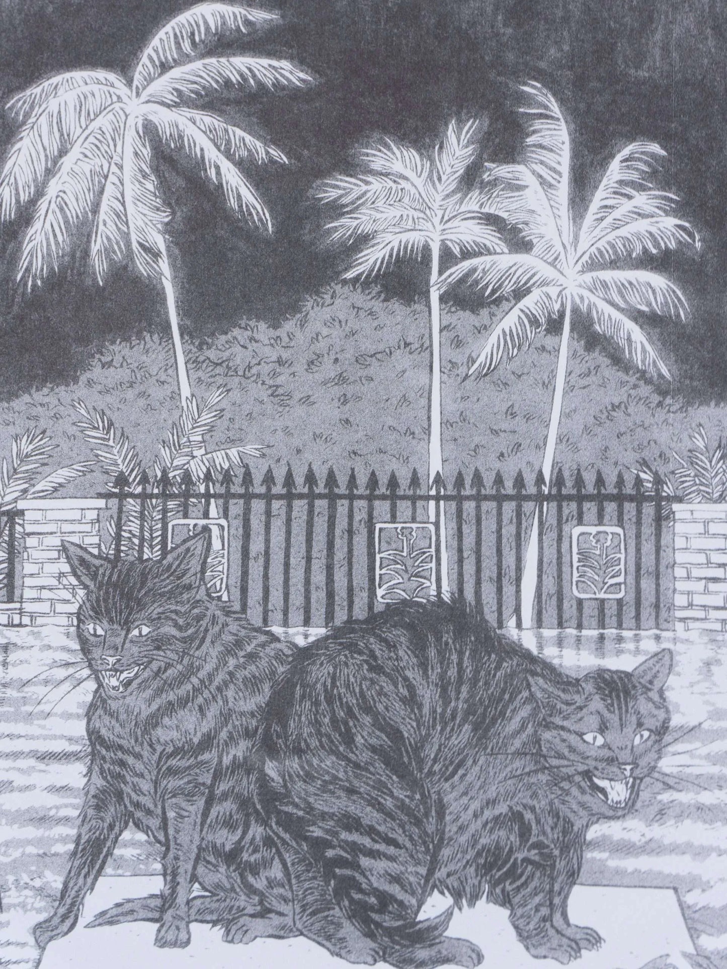 Desperate and Fearful Creatures | Sarah Welch (TX)