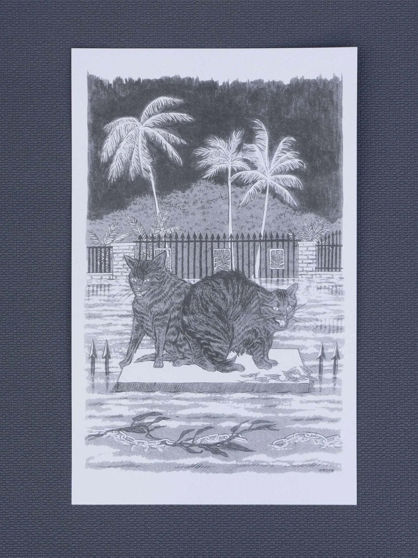 Desperate and Fearful Creatures | Sarah Welch (TX)