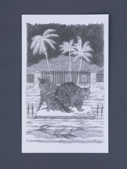 Desperate and Fearful Creatures | Sarah Welch (TX)